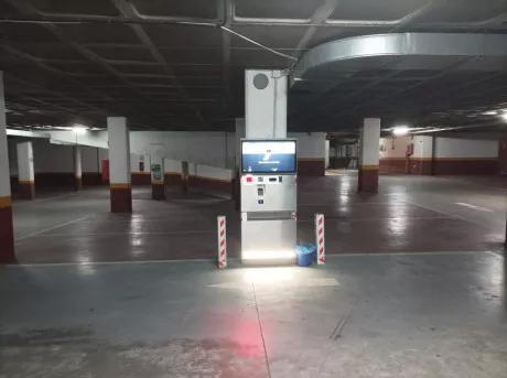 parking guadalajara